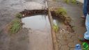 DSC04636.jpg