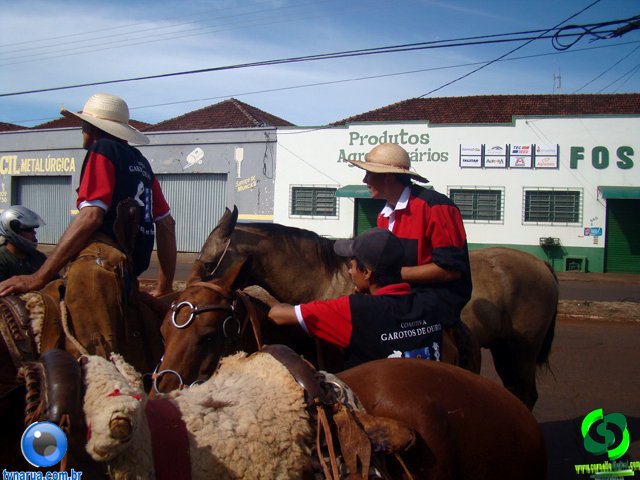 DSC00831.jpg