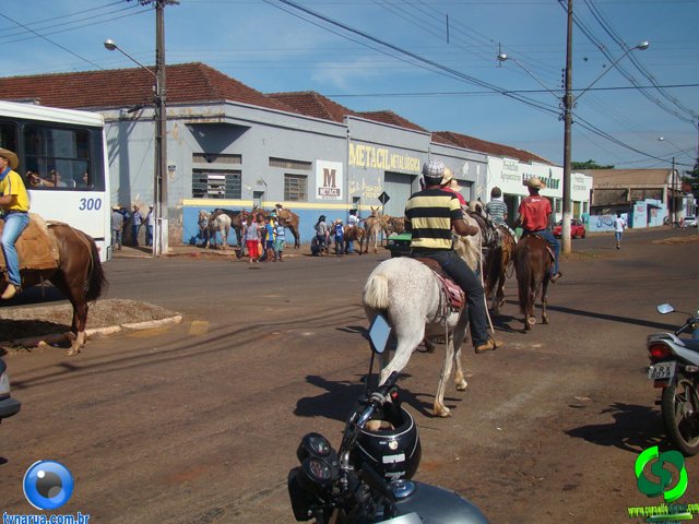 DSC00857.jpg