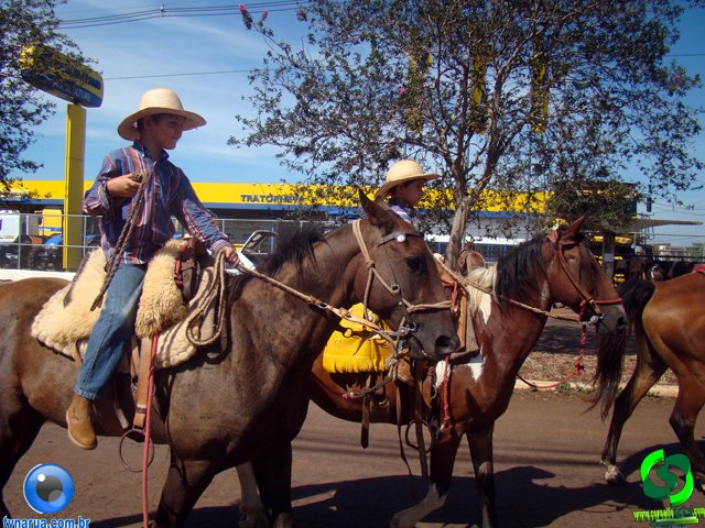 DSC00883.jpg