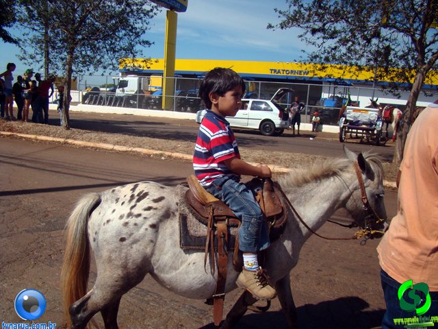 DSC00884.jpg