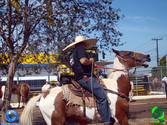 DSC00886.jpg