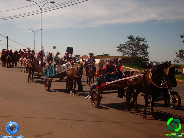 DSC00929.jpg