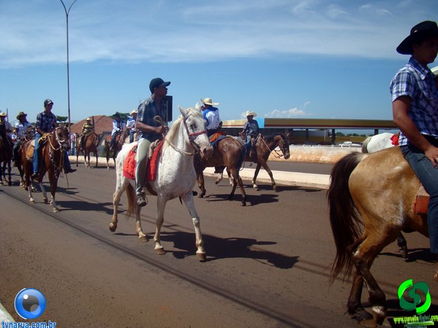 DSC00940.jpg