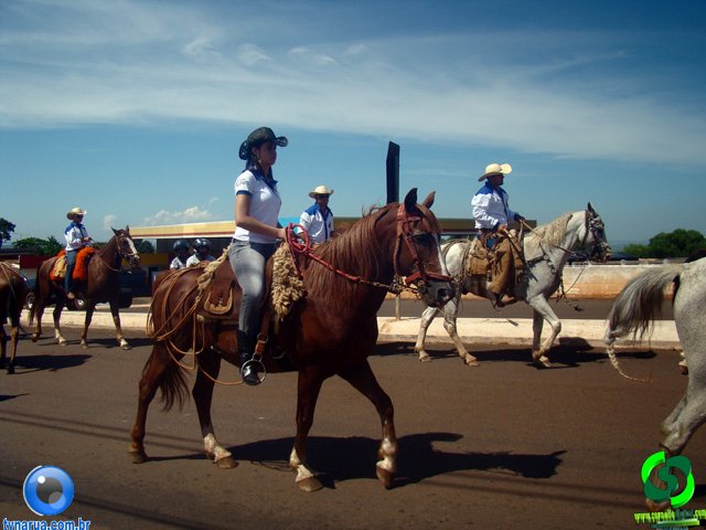 DSC00946.jpg