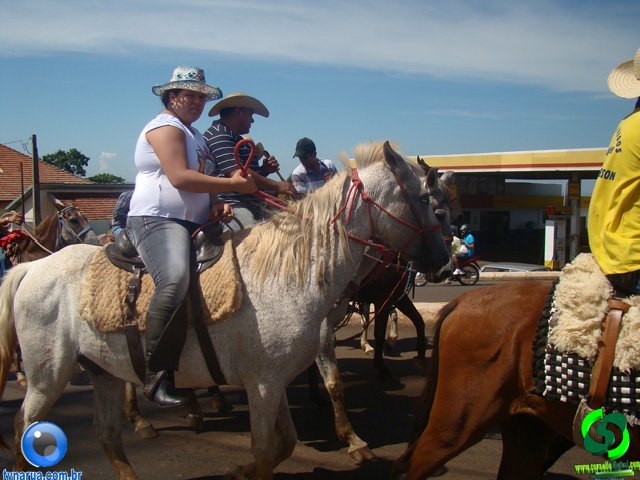 DSC00967.jpg