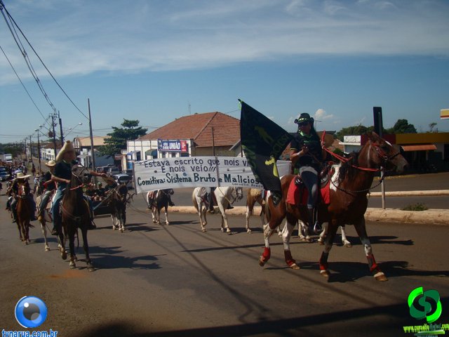 DSC00973.jpg