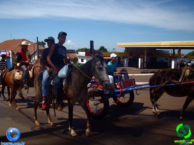 DSC00981.jpg