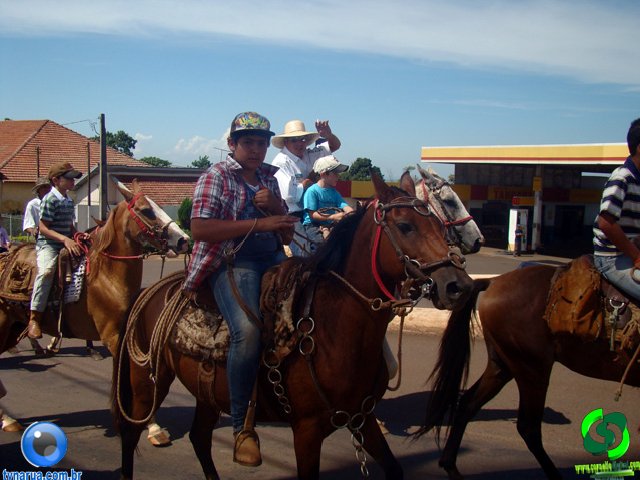 DSC00984.jpg
