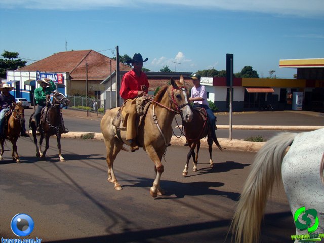 DSC00987.jpg
