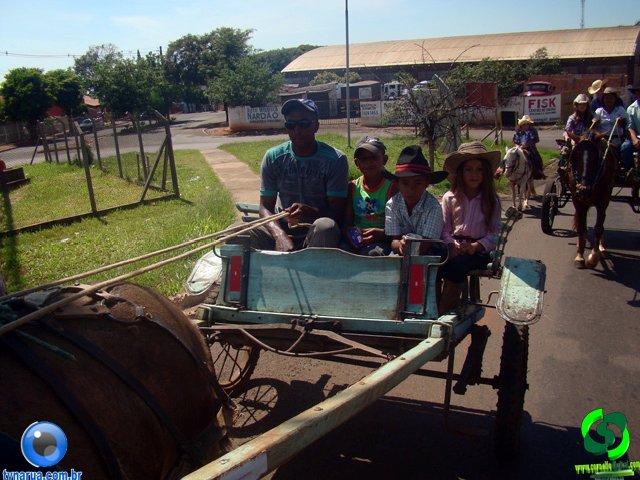 DSC00992.jpg