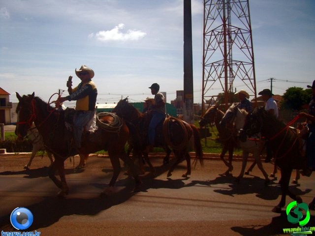 DSC00997.jpg