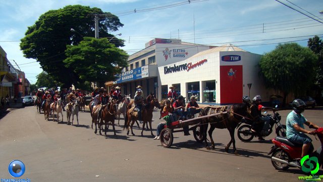 DSC01010.jpg