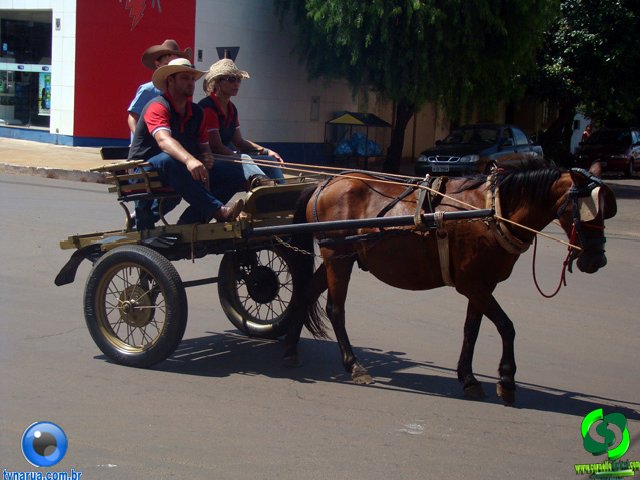 DSC01019.jpg