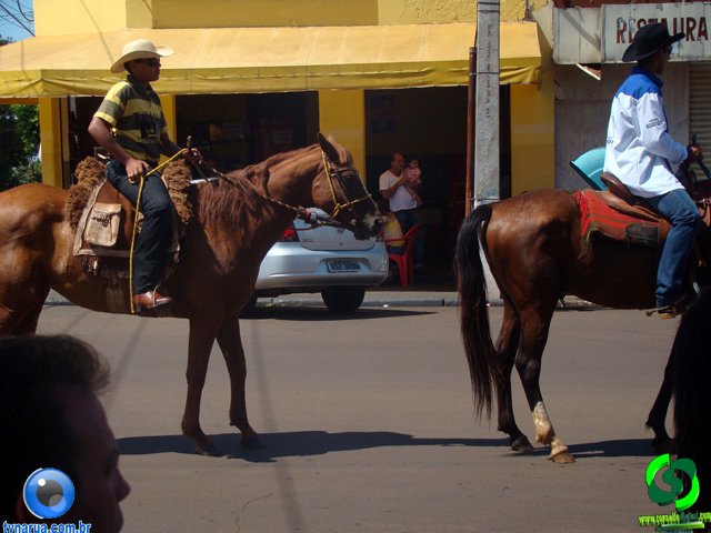 DSC01031.jpg