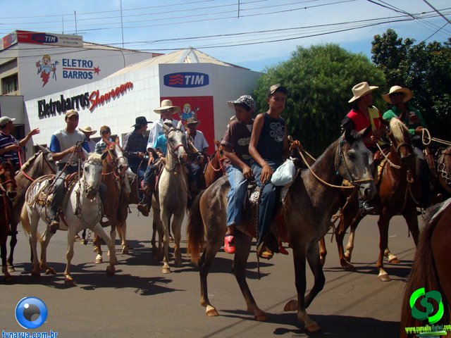 DSC01074.jpg