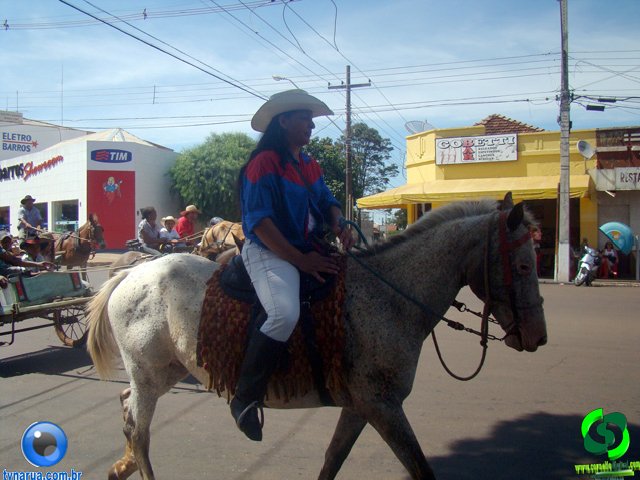 DSC01078.jpg