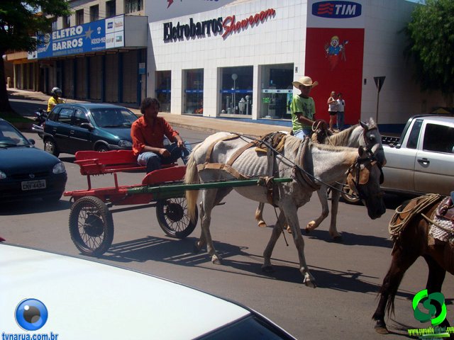 DSC01084.jpg