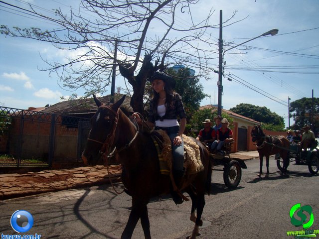 DSC01092.jpg