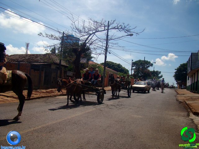 DSC01093.jpg