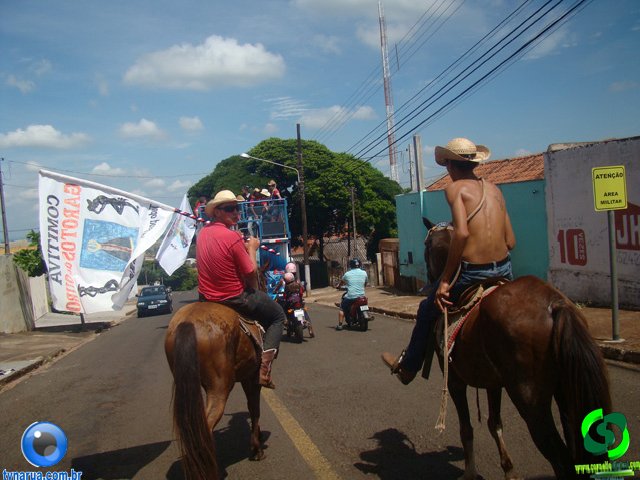DSC01103.jpg