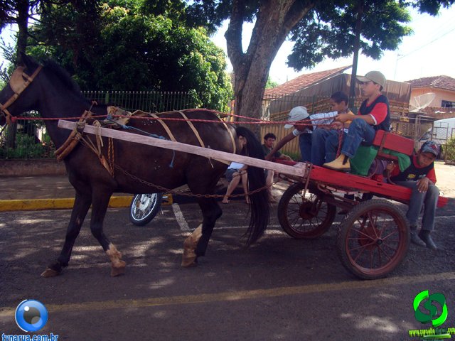 DSC01109.jpg