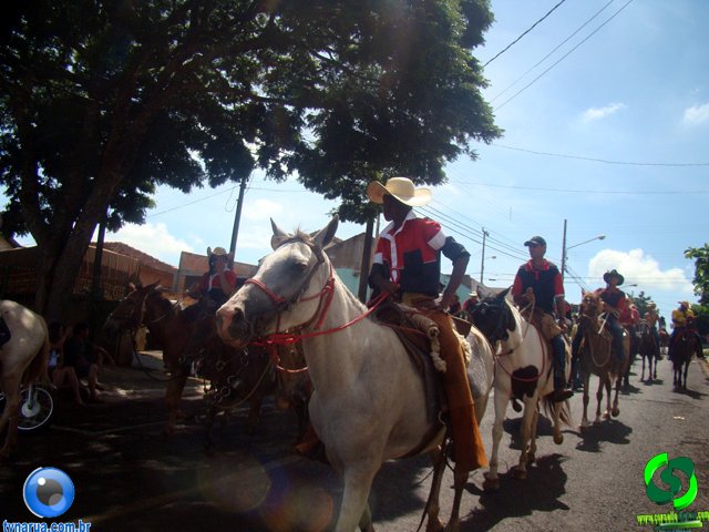 DSC01112.jpg