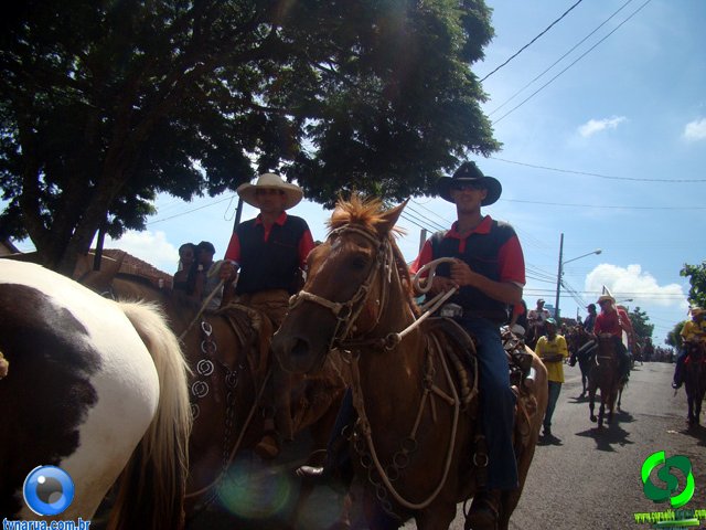 DSC01113.jpg