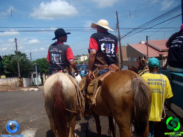 DSC01116.jpg