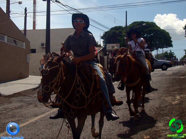 DSC01124.jpg