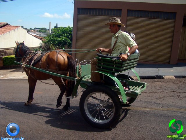 DSC01129.jpg