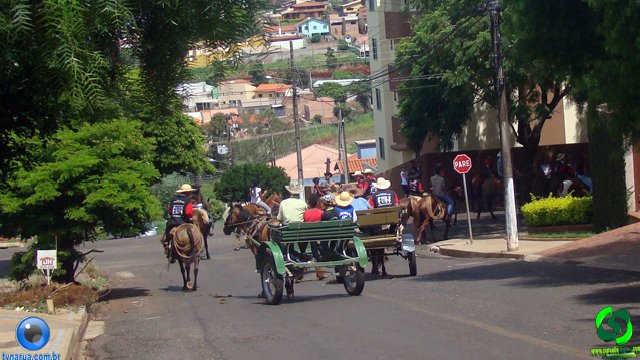 DSC01130.jpg