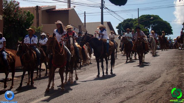 DSC01133.jpg