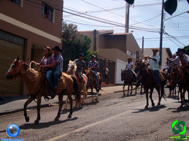 DSC01135.jpg
