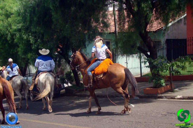 DSC01141.jpg