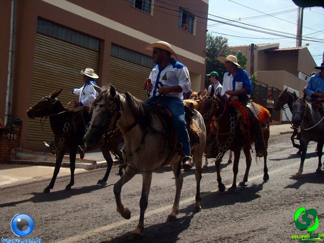 DSC01143.jpg