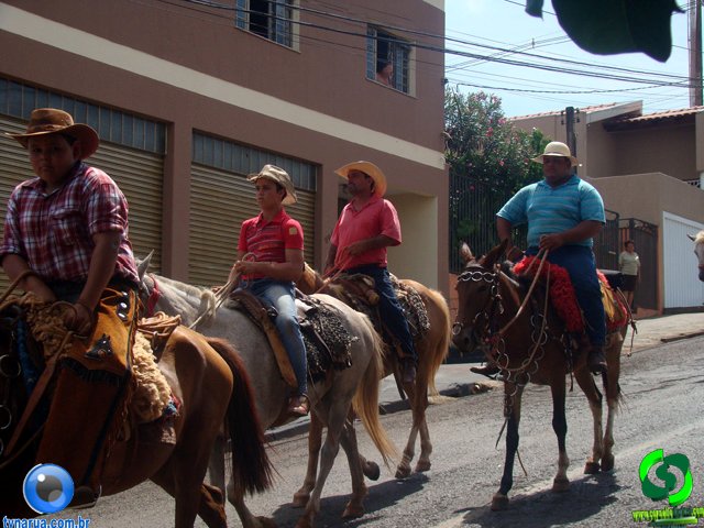DSC01155.jpg