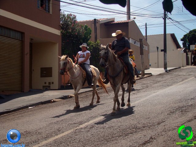 DSC01156.jpg