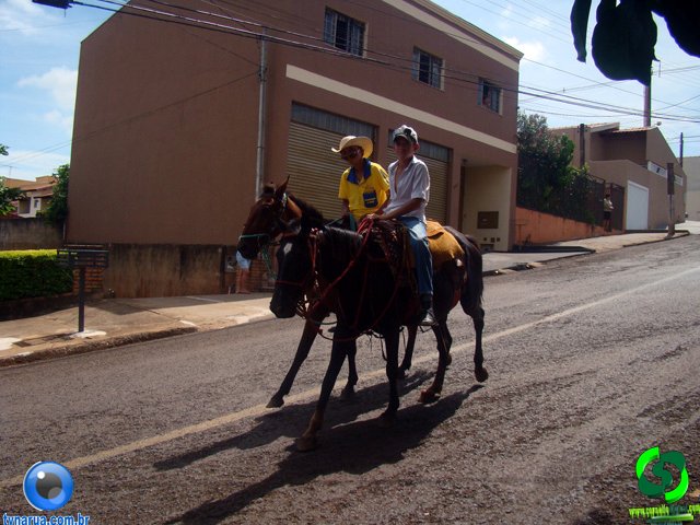 DSC01158.jpg