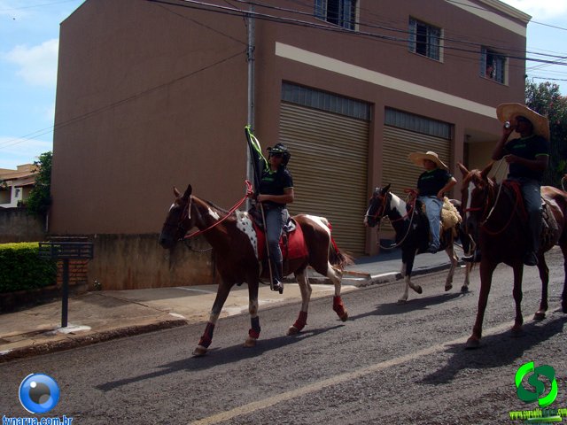 DSC01164.jpg
