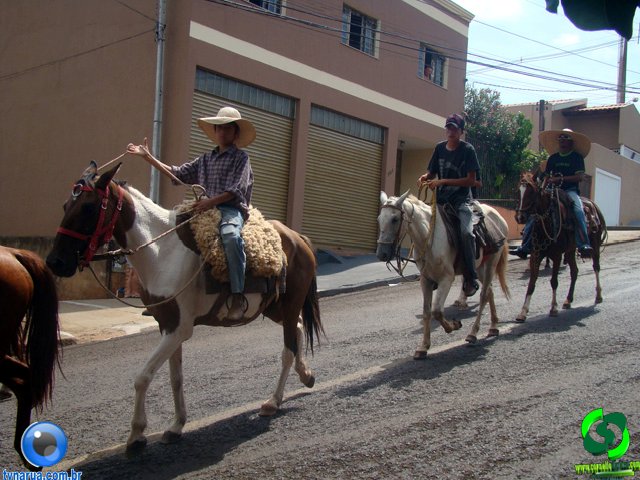 DSC01165.jpg