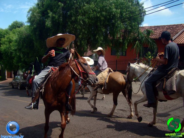 DSC01166.jpg