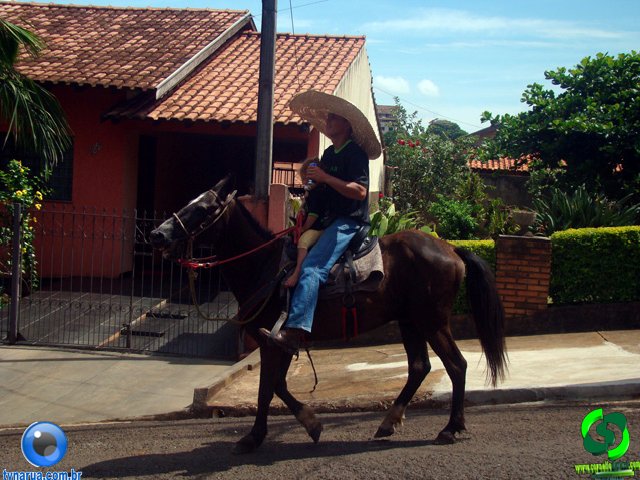 DSC01167.jpg