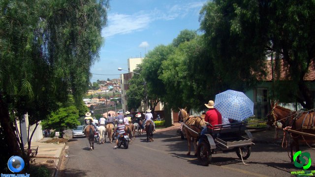 DSC01177.jpg