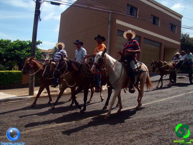 DSC01179.jpg