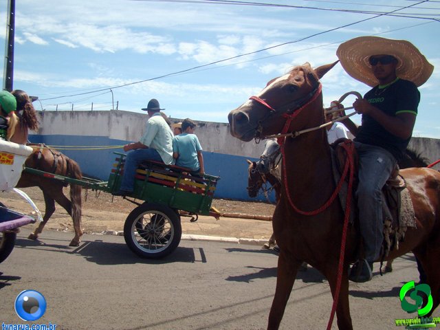 DSC01201.jpg