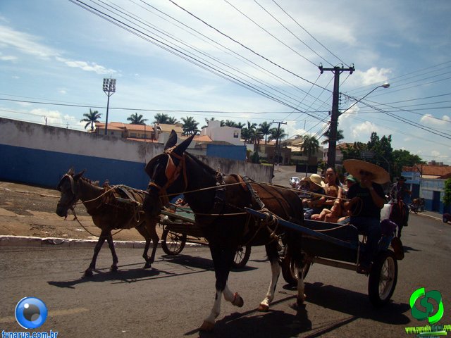 DSC01202.jpg