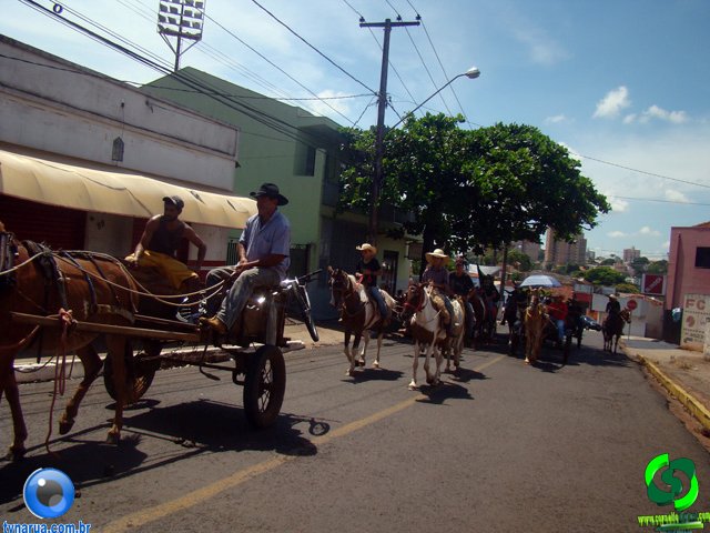 DSC01205.jpg
