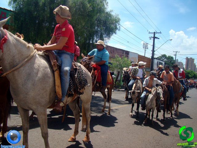 DSC01209.jpg