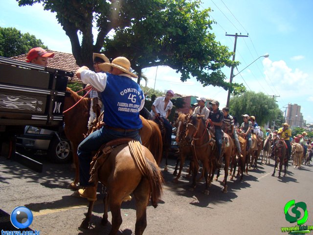 DSC01210.jpg